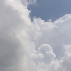 Meet your Posher, Alan